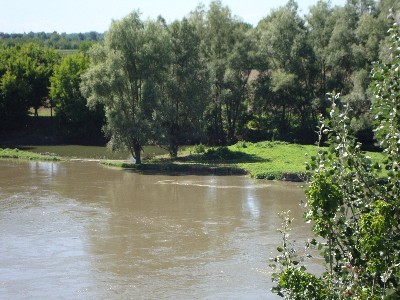 description